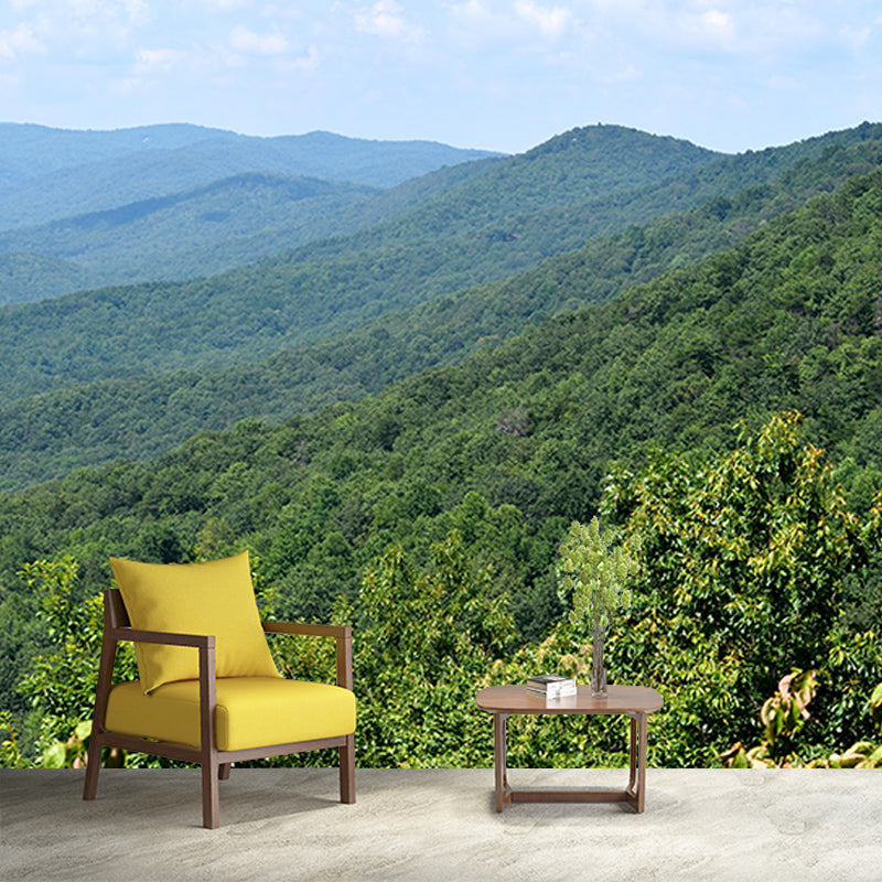 Snow Mountain Contemporary Style Mural Horizontal Photography Room Wall Mural