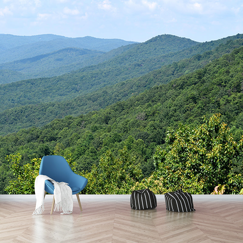 Snow Mountain Contemporary Style Mural Horizontal Photography Room Wall Mural