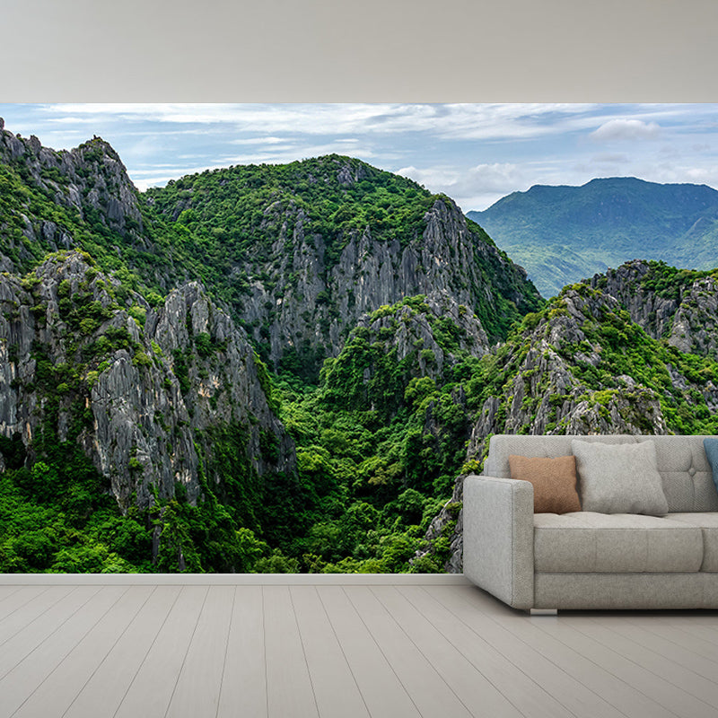 Vivid Mountain Contemporary Style Mural Horizontal Photography Living Room Wall Mural