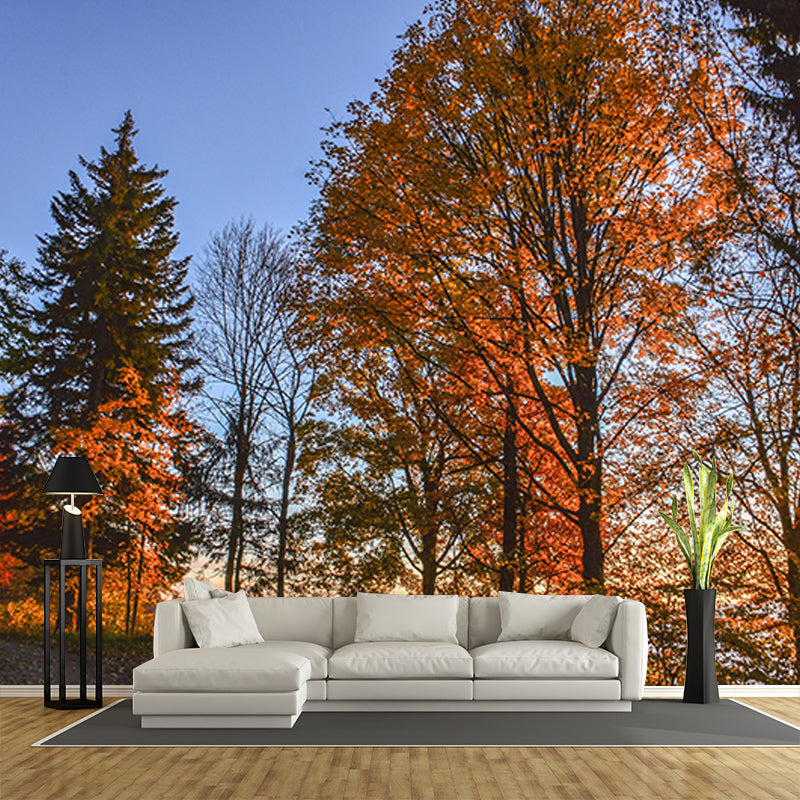 Autumn Forest Style Forest Mural Horizontal Photography Sleeping Room Wall Mural