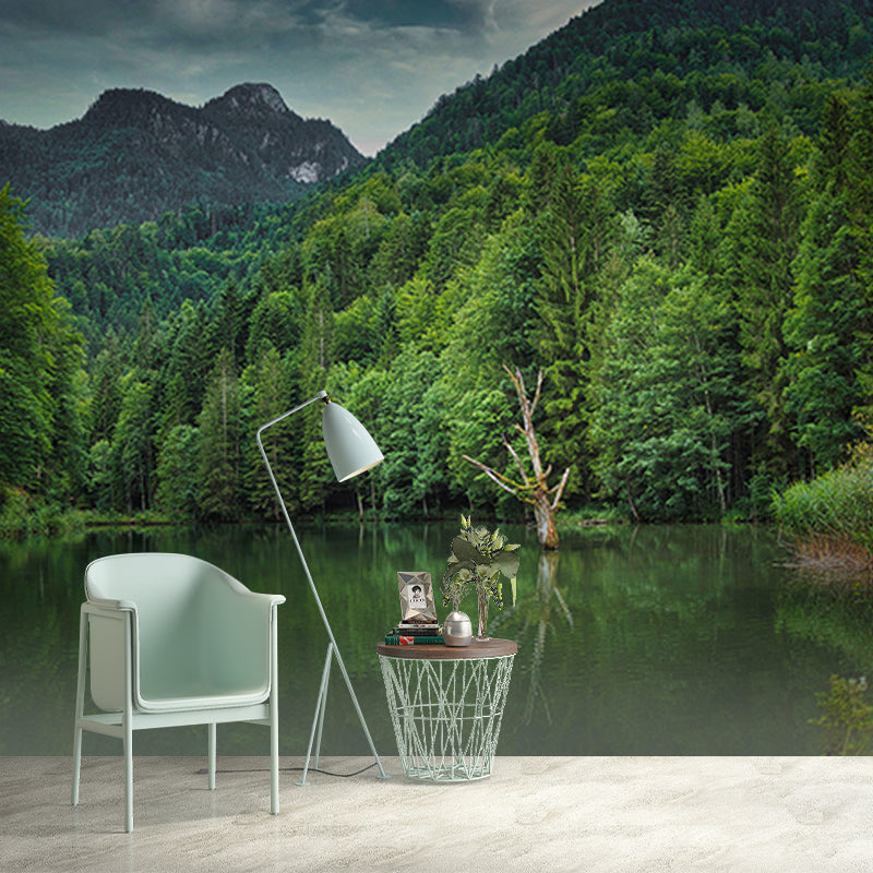 Mountain Forest Mural Horizontal Photography Sitting Room Wall Mural