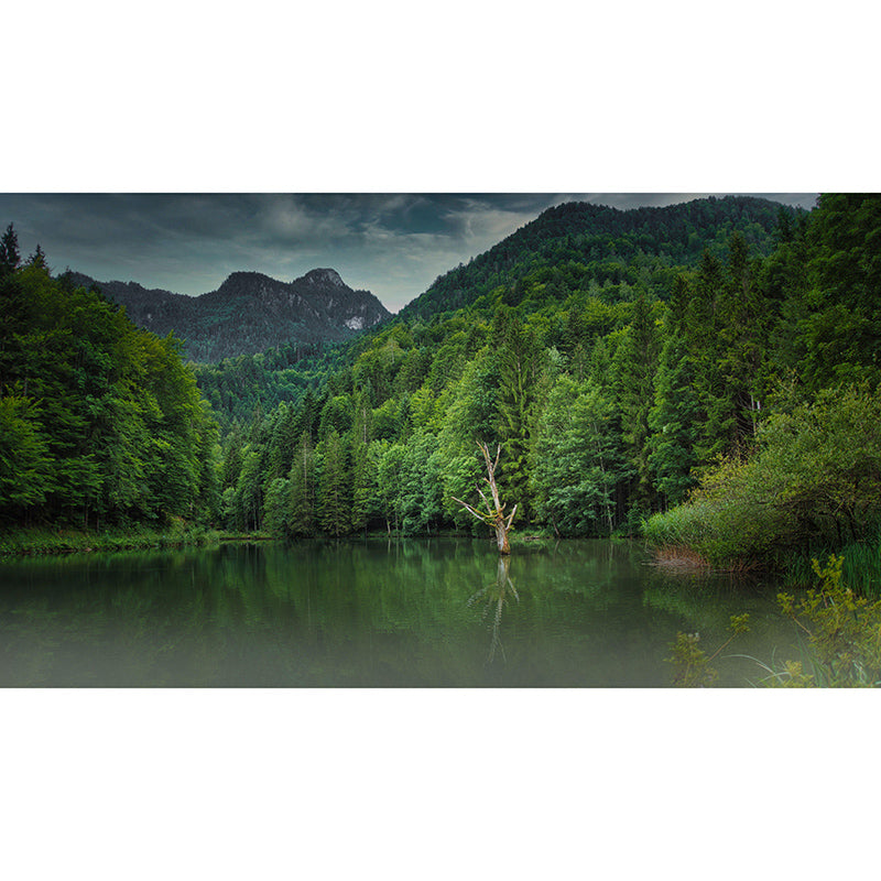 Mountain Forest Mural Horizontal Photography Sitting Room Wall Mural