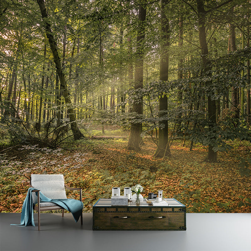 Forest Mountain Style Forest Mural Horizontal Photography Sitting Room Wall Mural