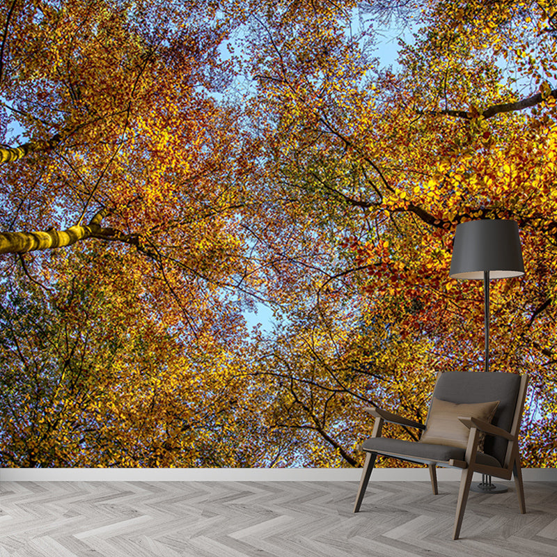 Forest Mountain Style Forest Mural Horizontal Photography Sitting Room Wall Mural