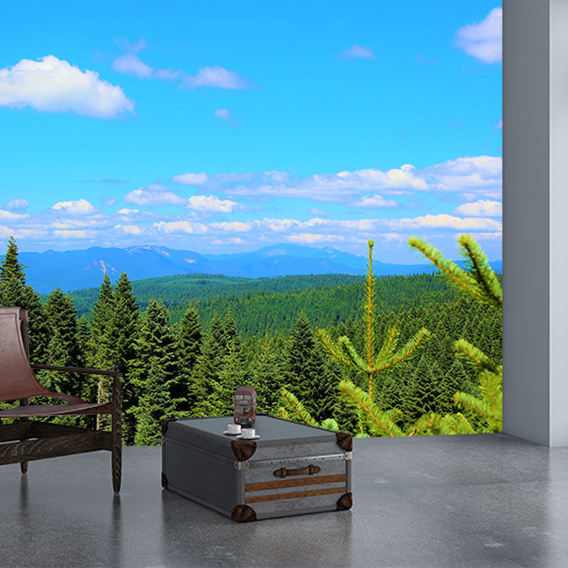 Forest Mountain Style Forest Mural Horizontal Photography Sitting Room Wall Mural