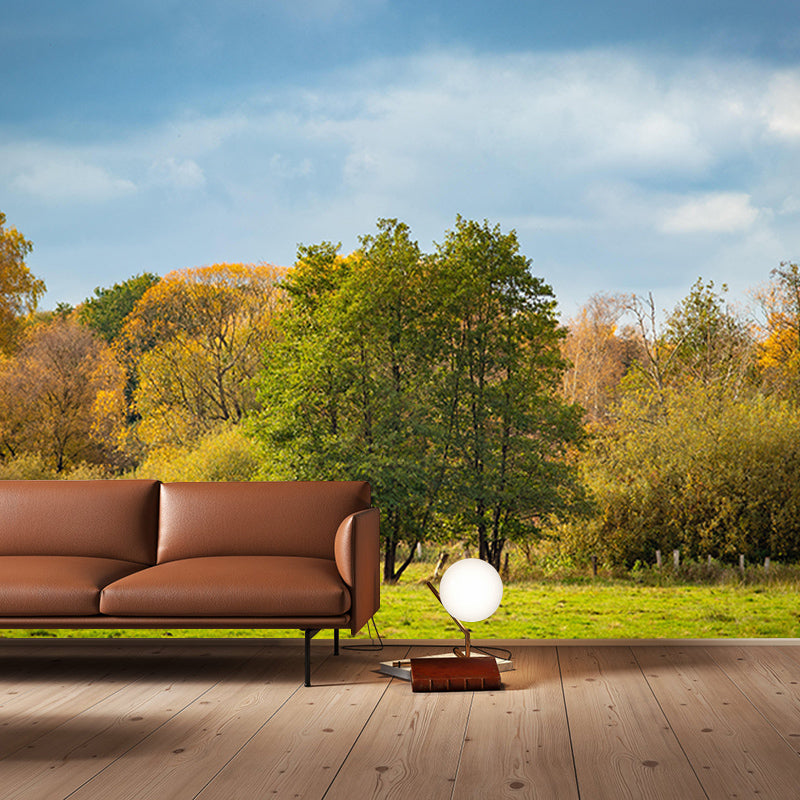 Natural Sky Forest Mural Horizontal Photography Room Wall Mural