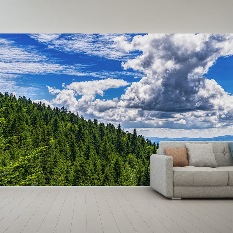 Natural Sky Forest Mural Horizontal Photography Room Wall Mural