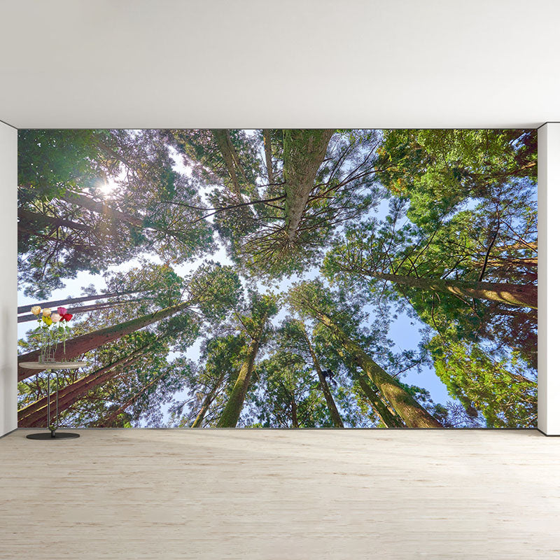 Forest 3D Print Contemporary Mural Horizontal Photography Bedroom Wall Mural