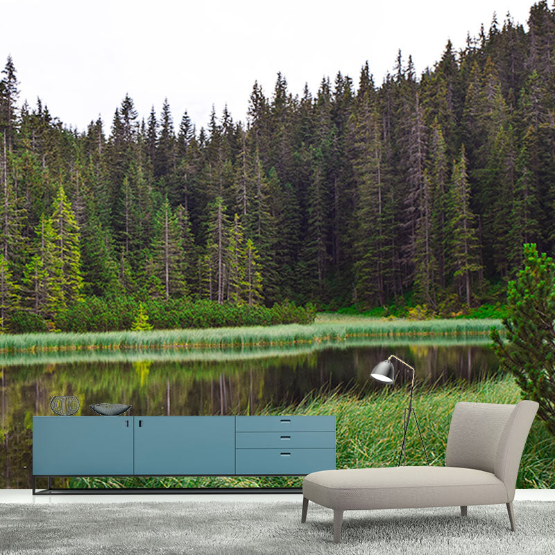 Forest 3D Print Contemporary Mural Horizontal Photography Bedroom Wall Mural