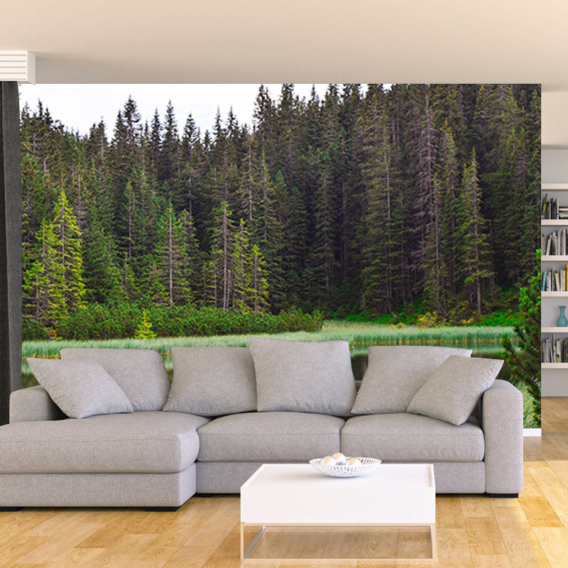 Forest 3D Print Contemporary Mural Horizontal Photography Bedroom Wall Mural