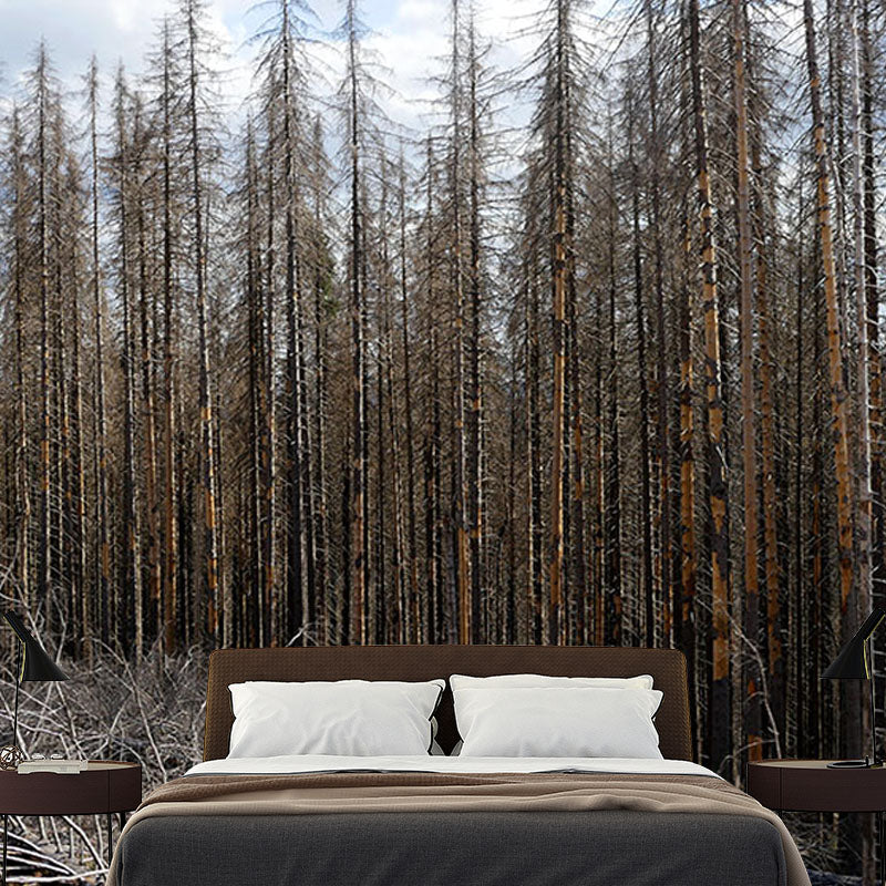 Snow Mountain Forest Mural Horizontal Photography Dining Room Wall Mural