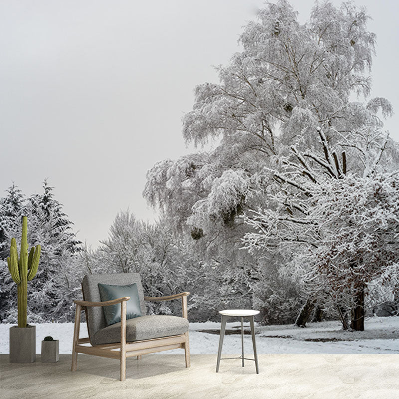 Contemporary Mountain Snow Forest Mural Horizontal Photography Living Room Wall Mural