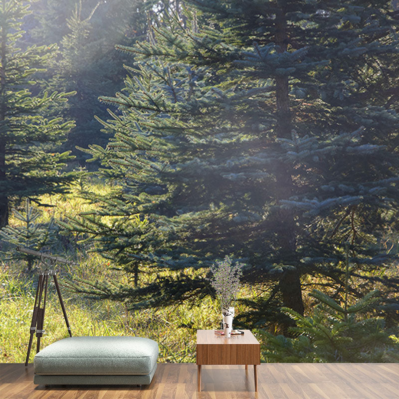 Contemporary Mountain Snow Forest Mural Horizontal Photography Living Room Wall Mural