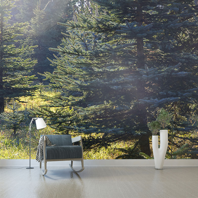 Contemporary Mountain Snow Forest Mural Horizontal Photography Living Room Wall Mural