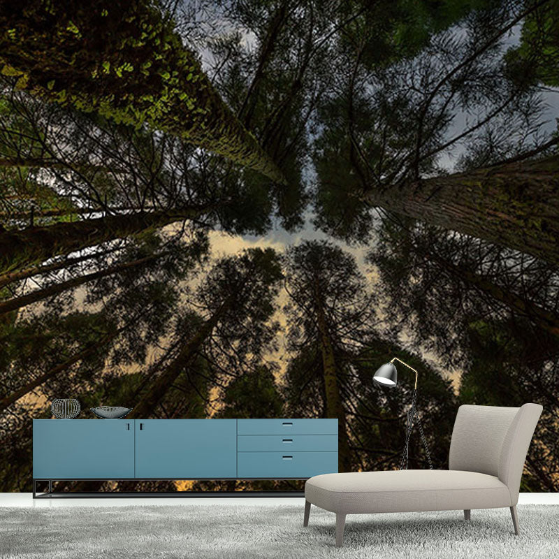Natural Scene Contemporary Style Forest Mural Horizontal Photography Room Wall Mural