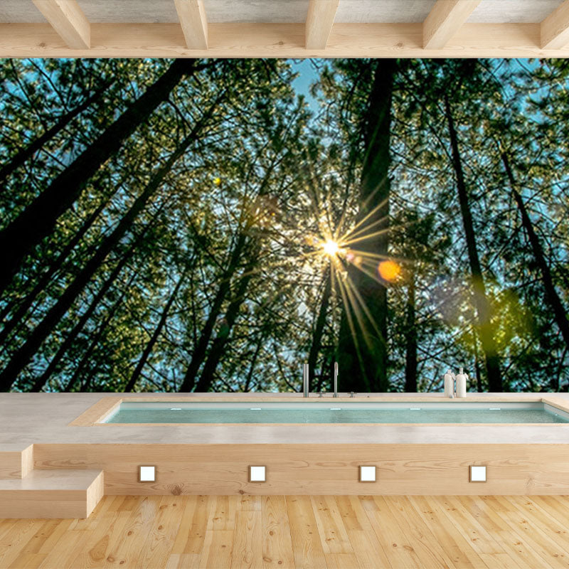 Natural Scene Contemporary Style Forest Mural Horizontal Photography Room Wall Mural