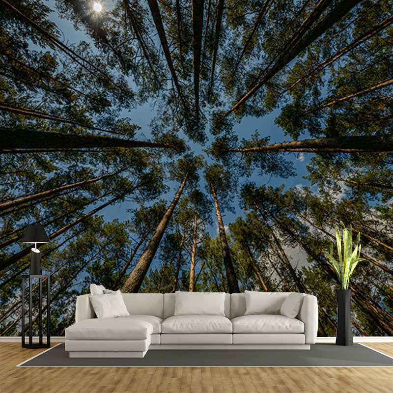 Contemporary Style Forest Mural Horizontal Photography Living Room Wall Mural