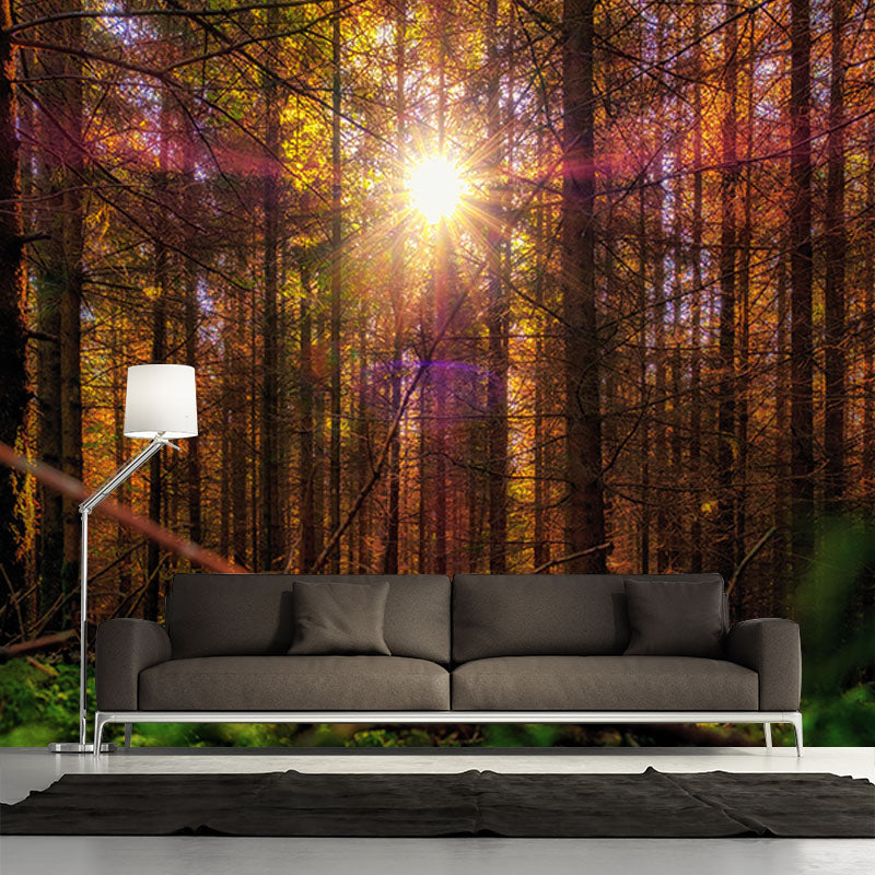 Contemporary Style Forest Mural Horizontal Photography Living Room Wall Mural