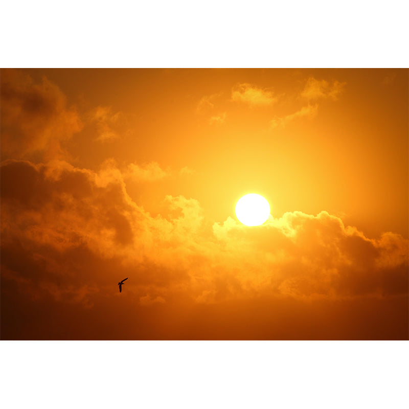 Customized Contemporary Sky Mural Mildew Resistant Wallpaper for Bedroom