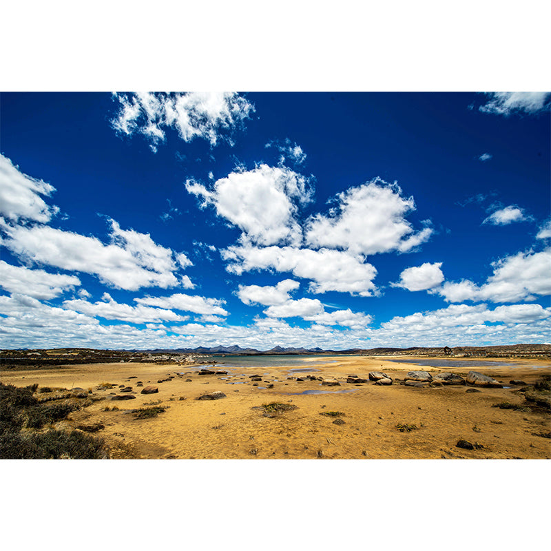 Sky Cloud Customized Sky Wall Mural Mildew Resistant Wallpaper for Wall Decor