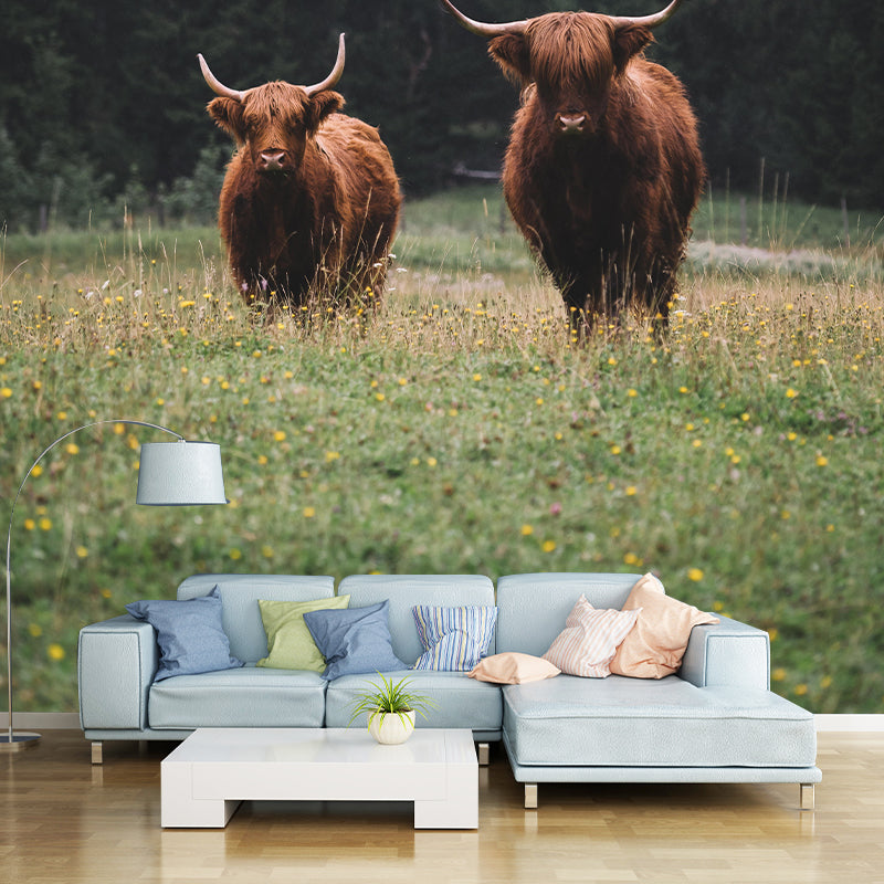 Zebra Wild Animal Contemporary Wall Mural Mildew Resistant Wallpaper for Living Room