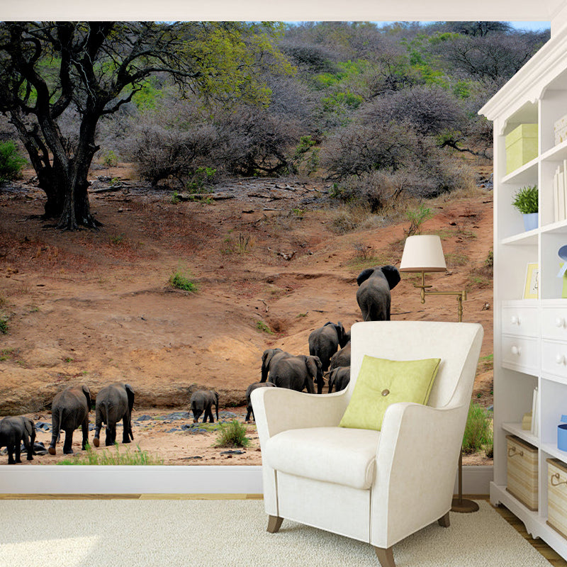 Elephant Wild Animal Contemporary Animal Mural Mildew Resistant Wallpaper for Bedroom