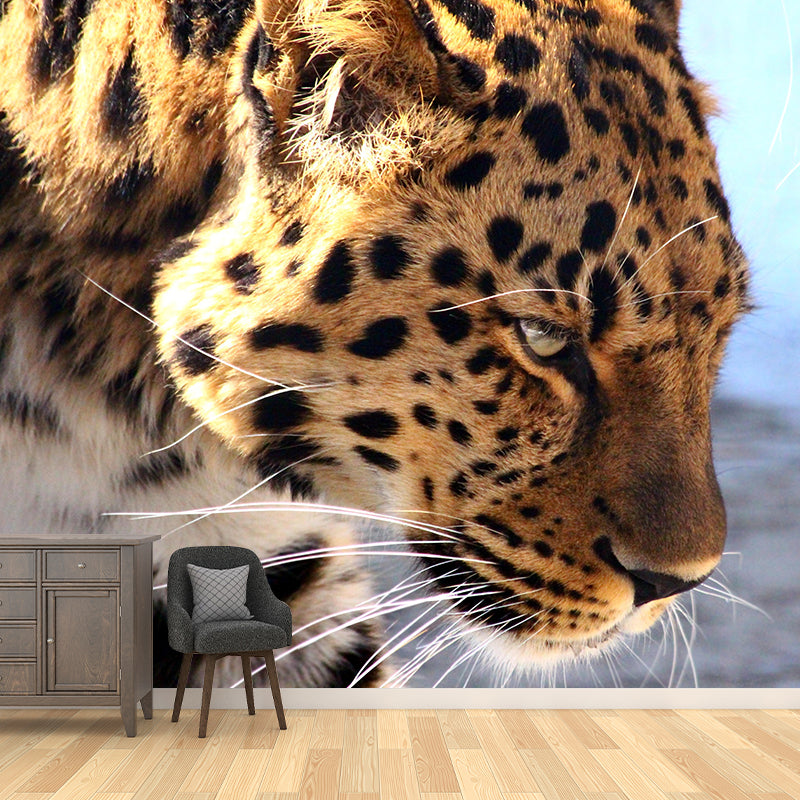 Elephant Wild Animal Contemporary Animal Mural Mildew Resistant Wallpaper for Bedroom