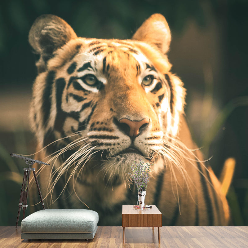 Lion Contemporary Wild Animal Wall Mural Mildew Resistant Wallpaper for Bedroom