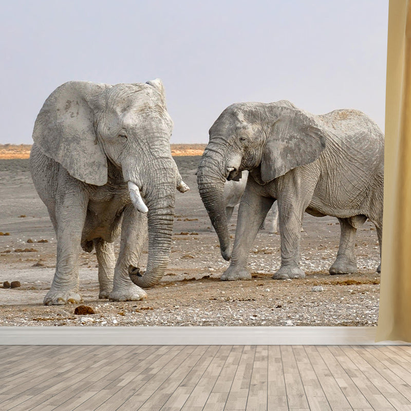 Zebra Customized Wild Animal Wall Mural Mildew Resistant Wallpaper for Room