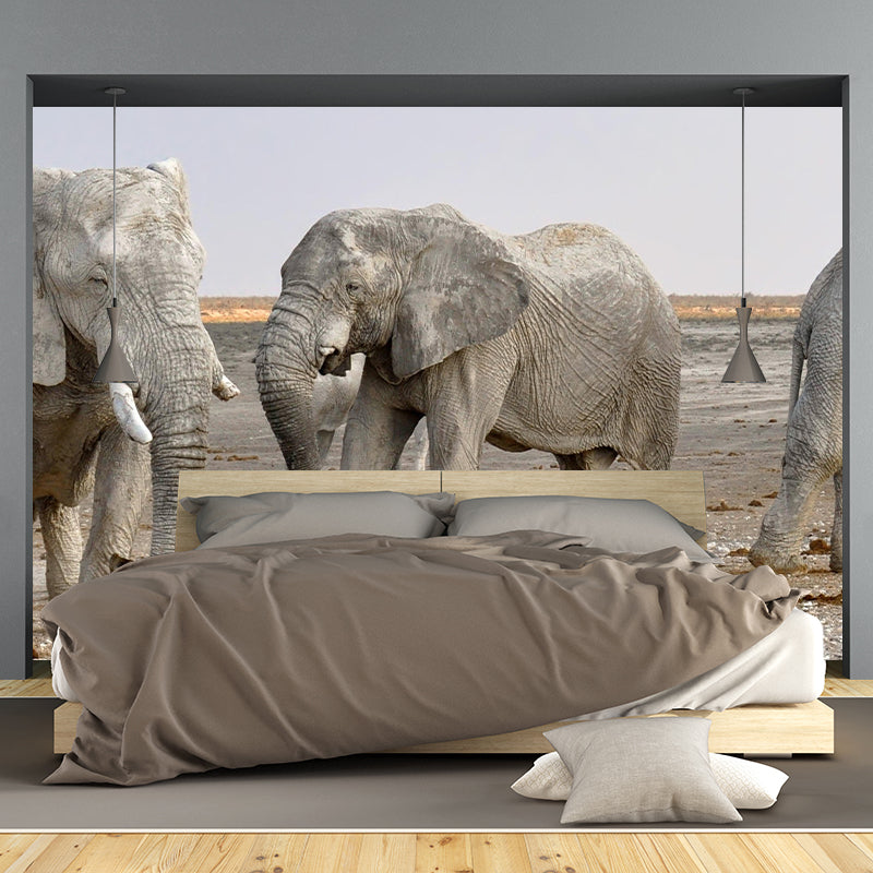 Zebra Customized Wild Animal Wall Mural Mildew Resistant Wallpaper for Room