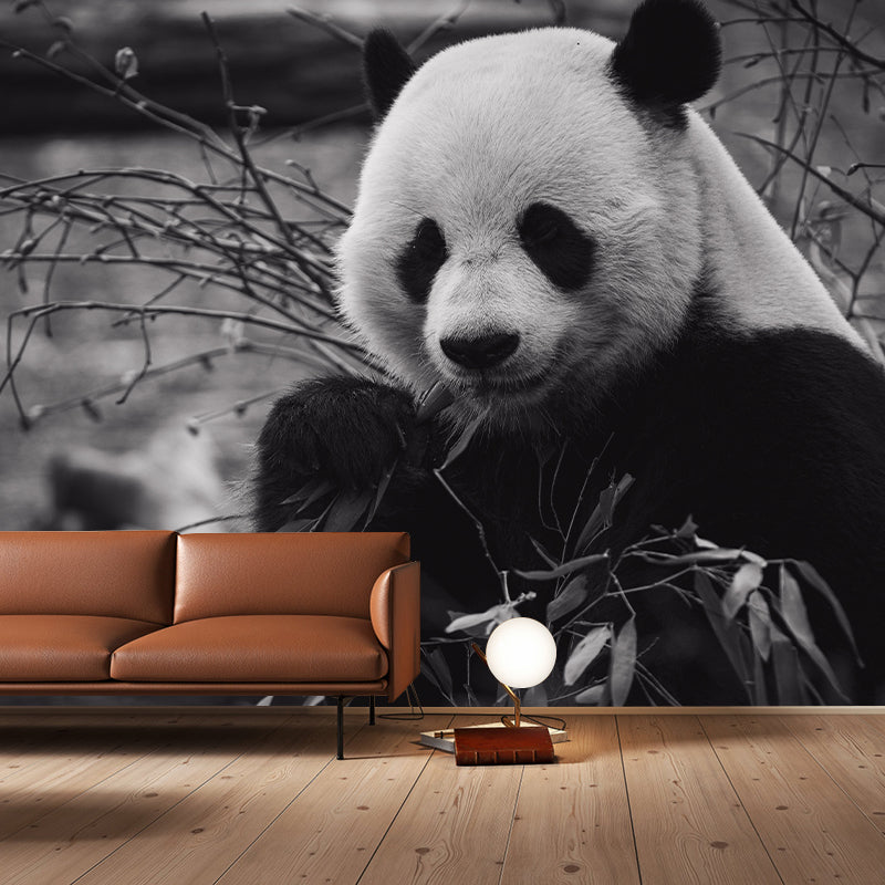 Zebra Customized Wild Animal Wall Mural Mildew Resistant Wallpaper for Room