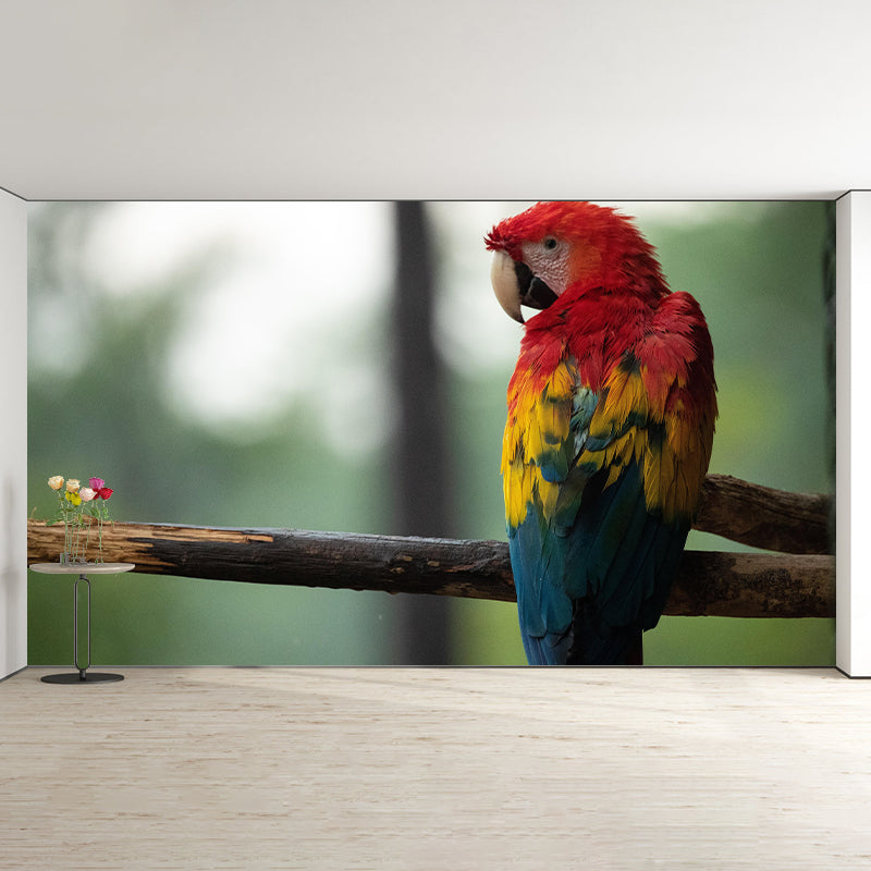 Natural Scene Customized Wild Animal Mural Mildew Resistant Wallpaper for Wall Decor