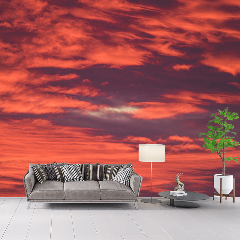Mildew Resistant Sky Mural Contemporary Sleeping Room Wall Mural