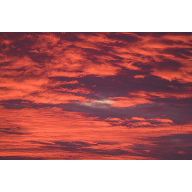 Mildew Resistant Sky Mural Contemporary Sleeping Room Wall Mural