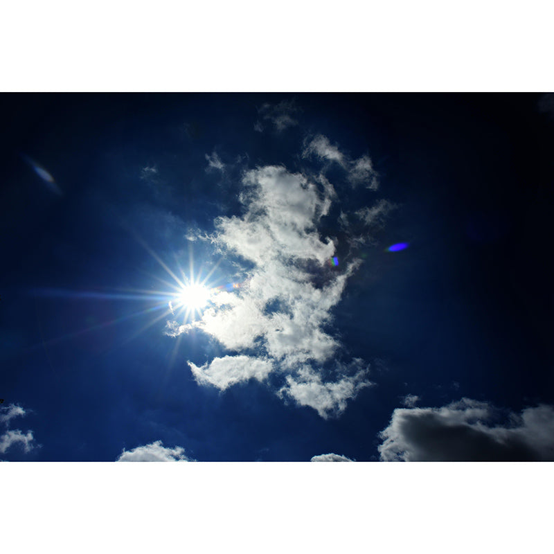 Sky Mural Mildew Resistant Contemporary Photography Sleeping Room Wall Mural