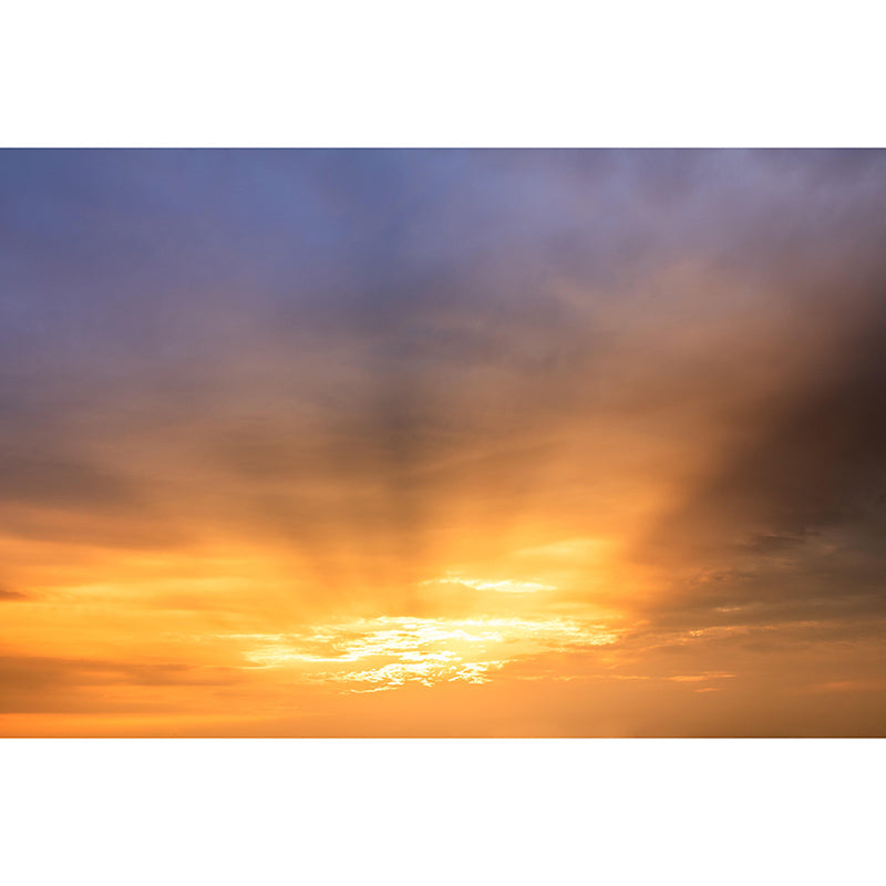 Clouds Mural Mildew Resistant Contemporary Sitting Room Wall Mural