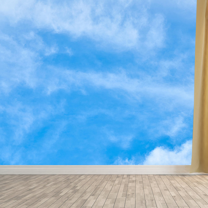 Sitting Room Wall Mural Mildew Resistant Sky Mural Photography