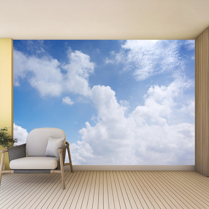 Sitting Room Wall Mural Mildew Resistant Sky Mural Photography