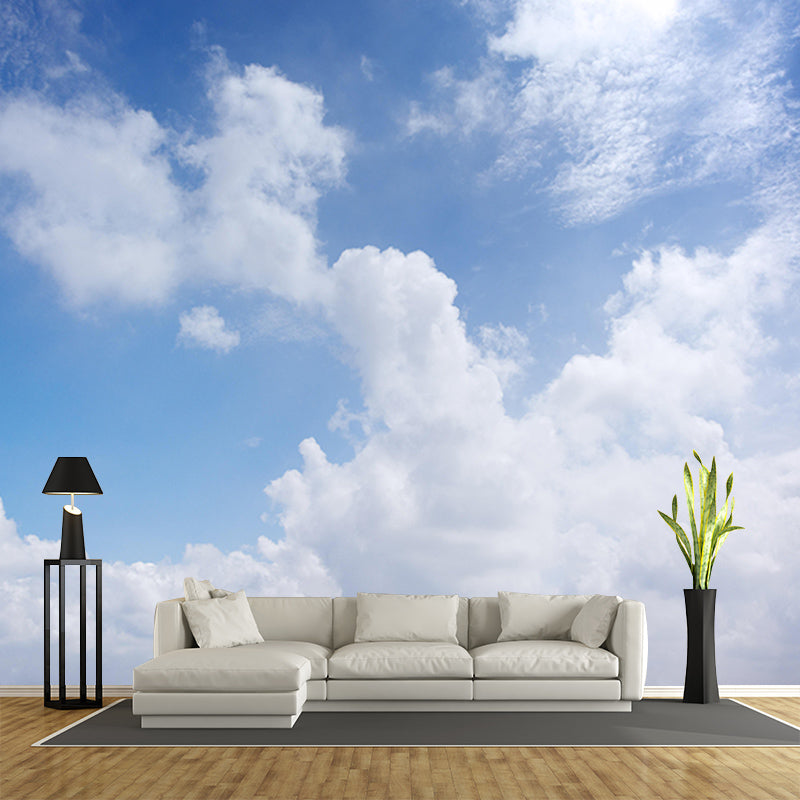 Sitting Room Wall Mural Mildew Resistant Sky Mural Photography