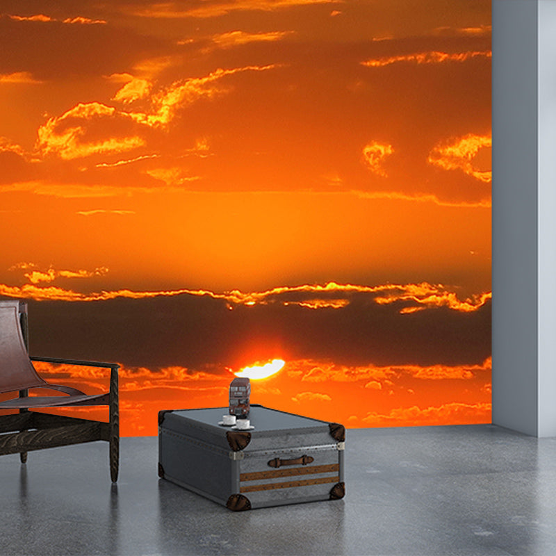 Cloud Print Contemporary Mildew Resistant Sky Mural Living Room Wall Mural