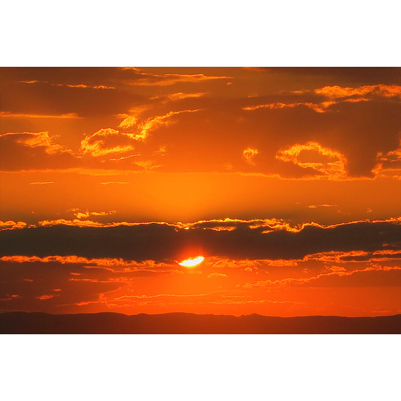 Cloud Print Contemporary Mildew Resistant Sky Mural Living Room Wall Mural