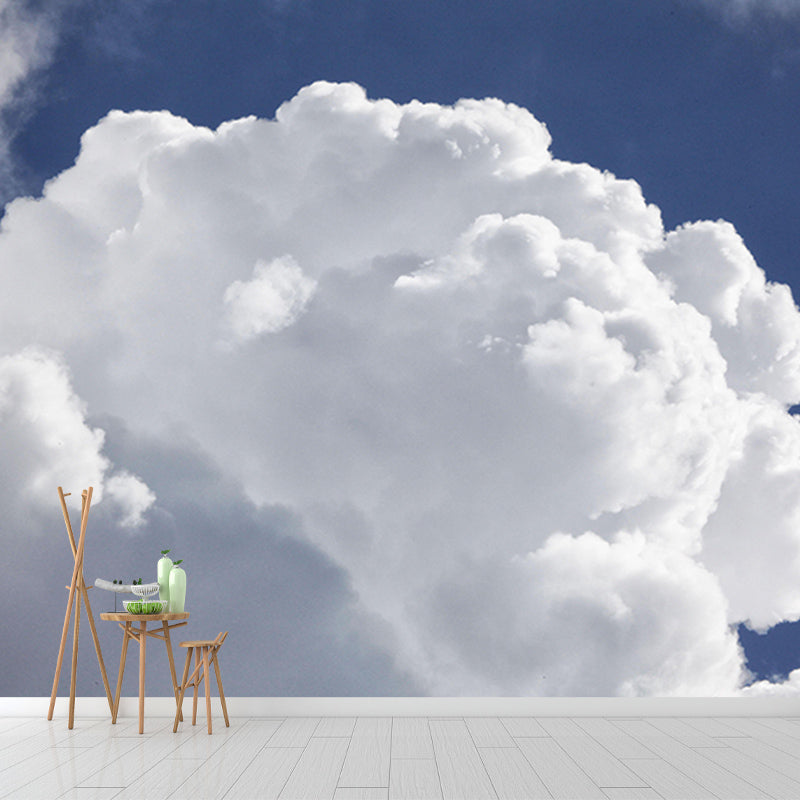 Photography Mildew Resistant Sky Mural Living Room Wall Mural