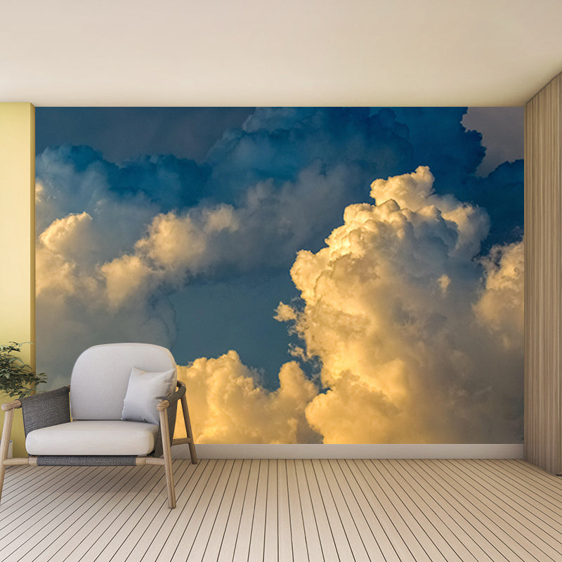 Living Room Contemporary Mildew Resistant Sky Mural Photography Wall Mural