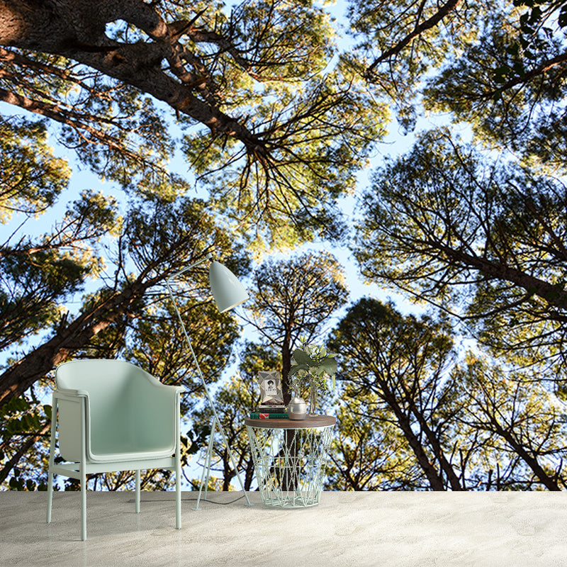 Light Color Forest Mural Contemporary Sleeping Room Wall Mural