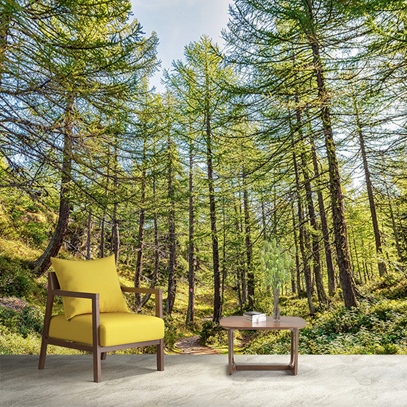 Light Color Forest Mural Contemporary Sleeping Room Wall Mural