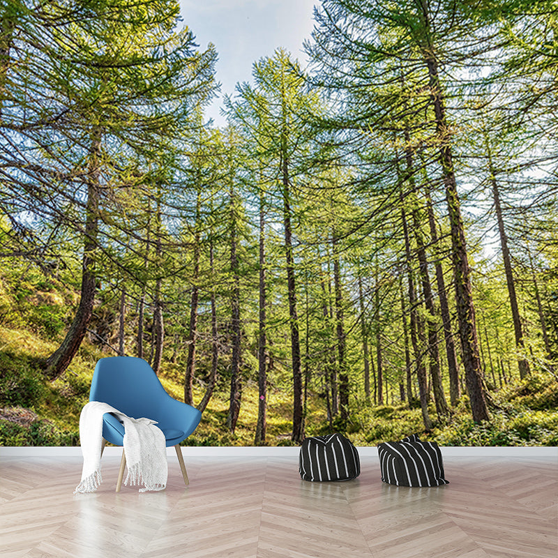 Light Color Forest Mural Contemporary Sleeping Room Wall Mural