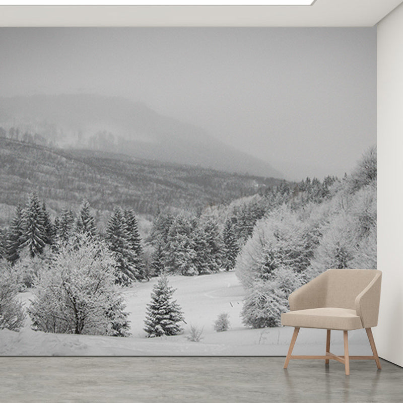 Bright Color Forest Mural Contemporary Living Room Wall Mural