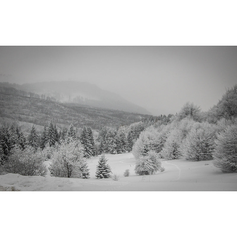 Bright Color Forest Mural Contemporary Living Room Wall Mural