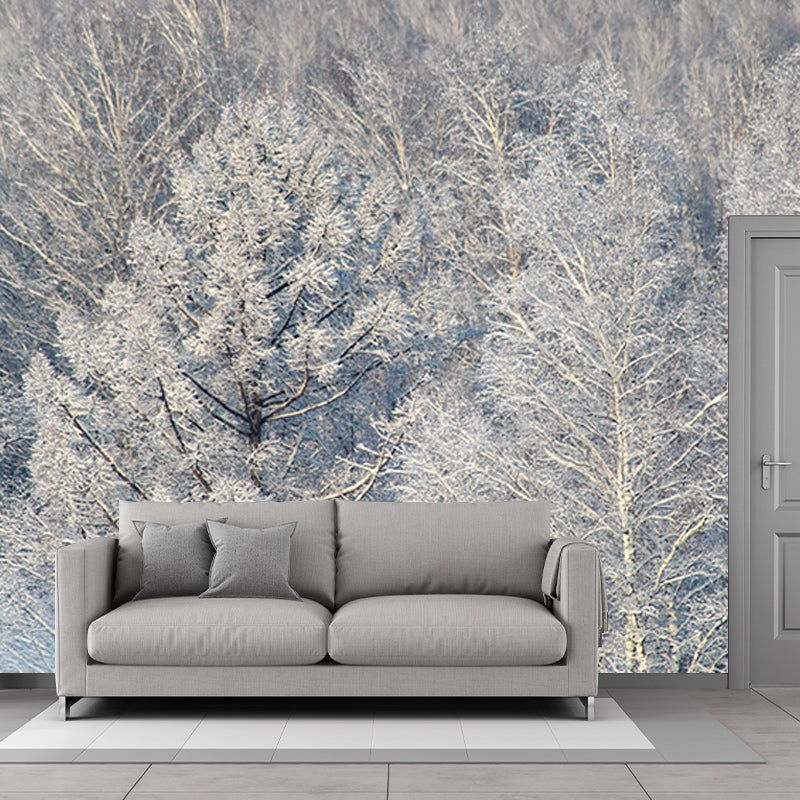 Mildew Resistant Forest Mural Photography Living Room Wall Mural