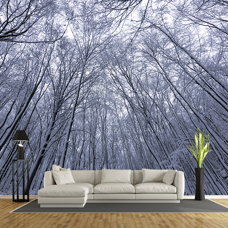 Beautiful Forest Mural Contemporary Photography Sleeping Room Wall Mural